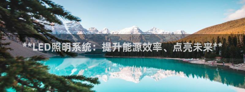 **LED照明系统：提升能源效率、点亮未来**