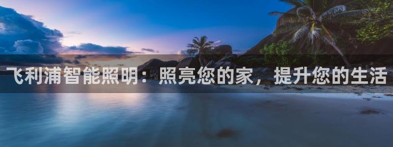 飞利浦智能照明:照亮您的家,提升您的生活