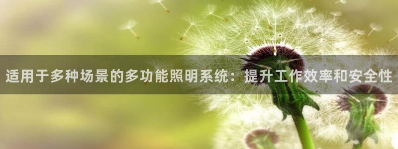 适用于多种场景的多功能照明系统：提升工作效率和安全性