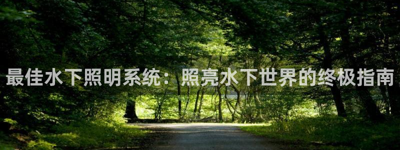 最佳水下照明系统：照亮水下世界的终极指南