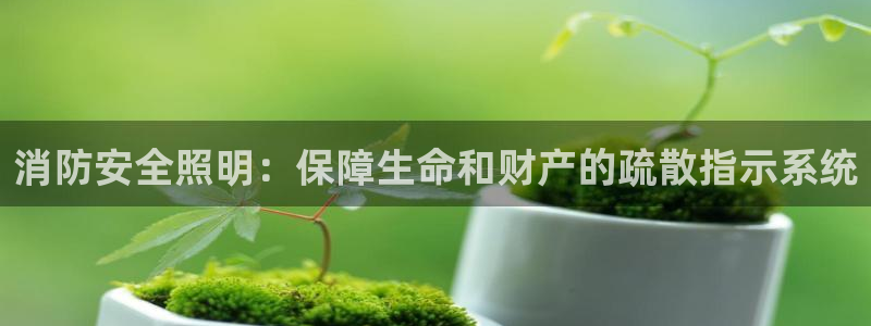 消防安全照明：保障生命和财产的疏散指示系统