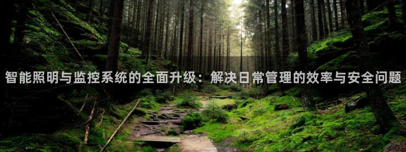 智能照明与监控系统的全面升级:解决日常管理的效率与安全问题