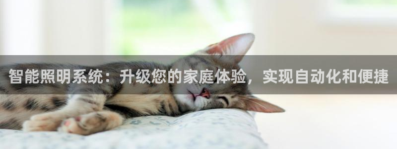 智能照明系统：升级您的家庭体验，实现自动化和便捷