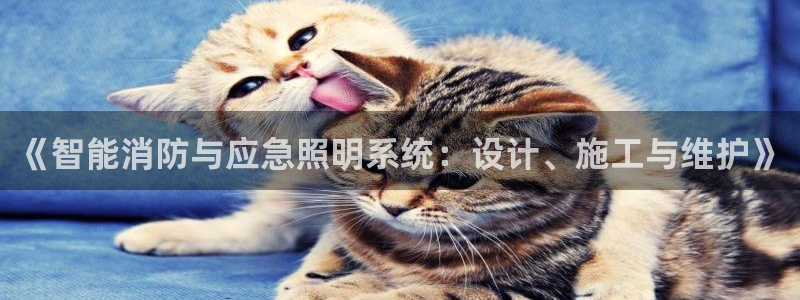 《智能消防与应急照明系统：设计、施工与维