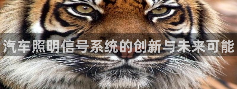 汽车照明信号系统的创新与未来可能
