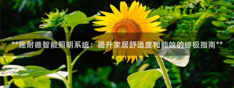 **施耐德智能照明系统：提升家居舒适度和能效的终极指南**