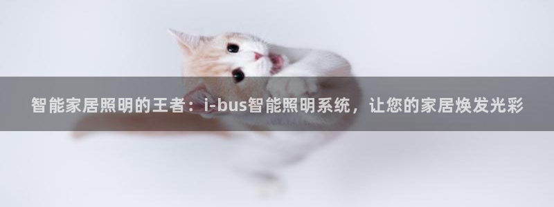 智能家居照明的王者:i-bus智能照明系统,让您的家居焕发光彩