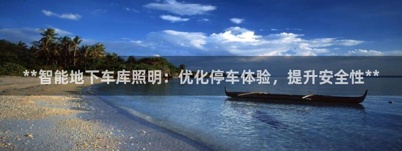 **智能地下车库照明：优化停车体验，提升安全性**