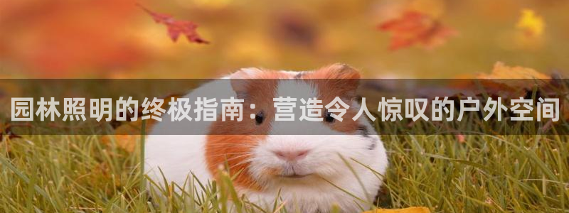 园林照明的终极指南:营造令人惊叹的户外空间