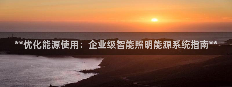 **优化能源使用：企业级智能照明能源系统