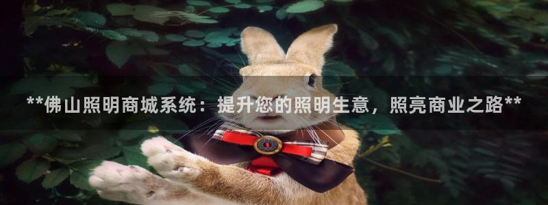 **佛山照明商城系统:提升您的照明生意,照亮商业之路**