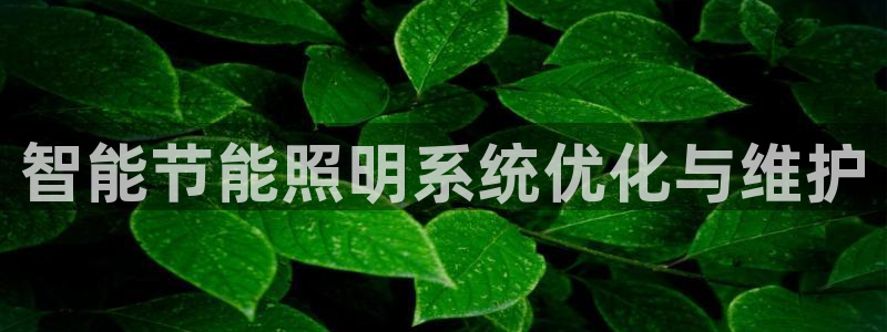 智能节能照明系统优化与维护
