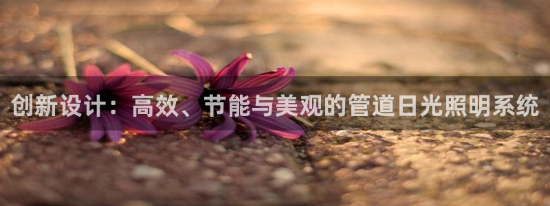 创新设计:高效、节能与美观的管道日光照明系统