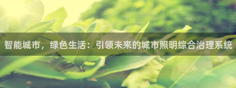 智能城市，绿色生活：引领未来的城市照明综