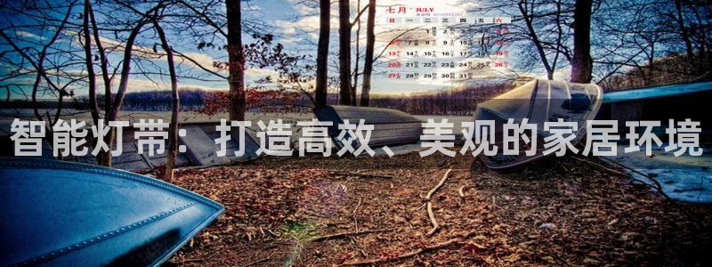 智能灯带：打造高效、美观的家居环境