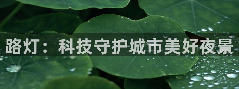 路灯：科技守护城市美好夜景