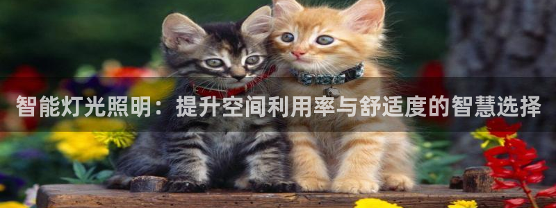 智能灯光照明：提升空间利用率与舒适度的智慧选择