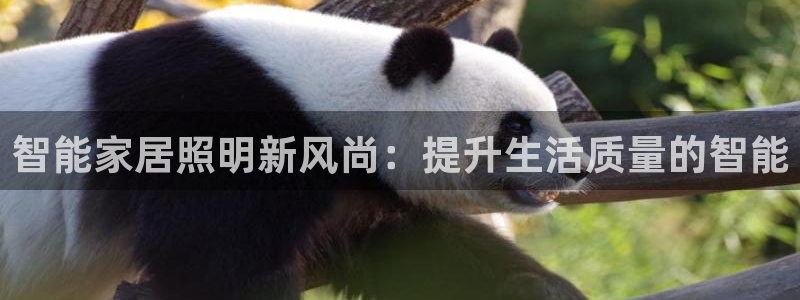 智能家居照明新风尚：提升生活质量的智能