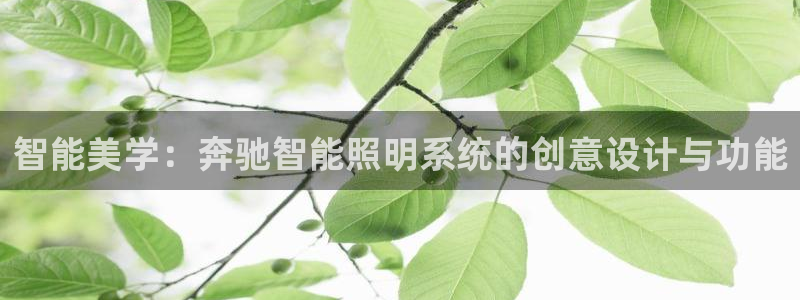 智能美学:奔驰智能照明系统的创意设计与功能