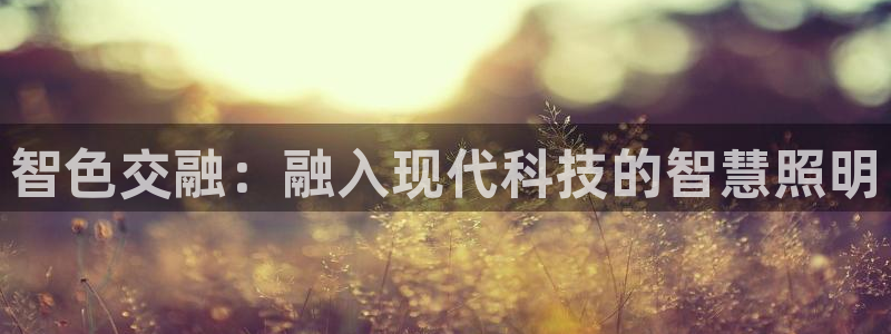 智色交融：融入现代科技的智慧照明