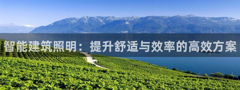 智能建筑照明：提升舒适与效率的高效方案