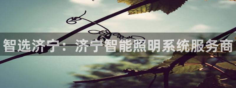 智选济宁：济宁智能照明系统服务商