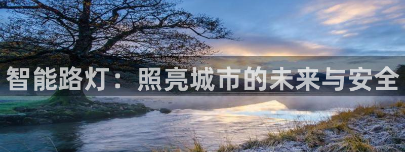 智能路灯：照亮城市的未来与安全