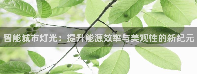 智能城市灯光：提升能源效率与美观性的新纪元