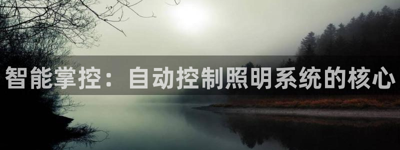 智能掌控：自动控制照明系统的核心