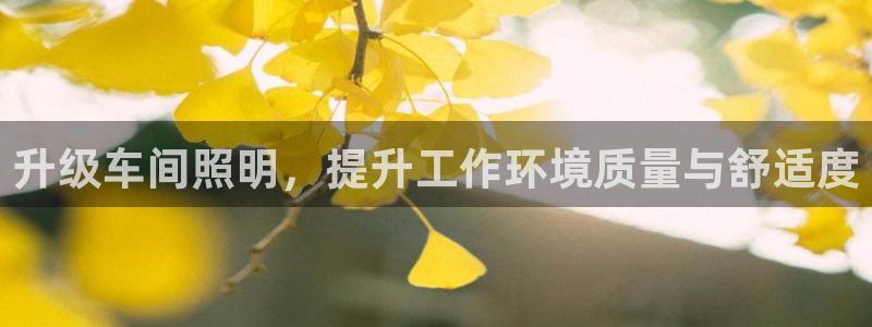 升级车间照明，提升工作环境质量与舒适度