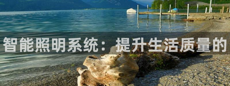 智能照明系统：提升生活质量的