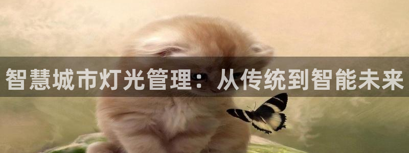智慧城市灯光管理：从传统到智能未来