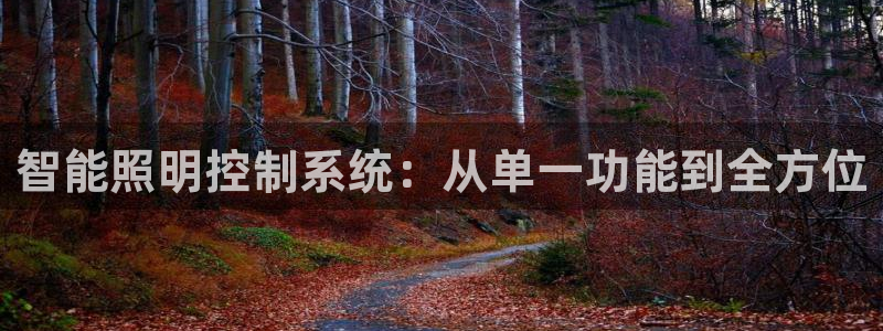 智能照明控制系统：从单一功能到全方位