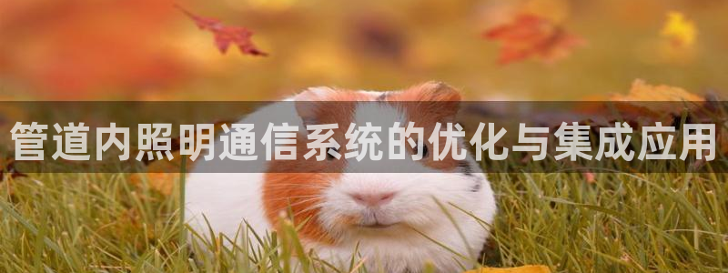 管道内照明通信系统的优化与集成应用