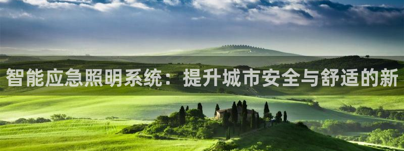 智能应急照明系统：提升城市安全与舒适的新