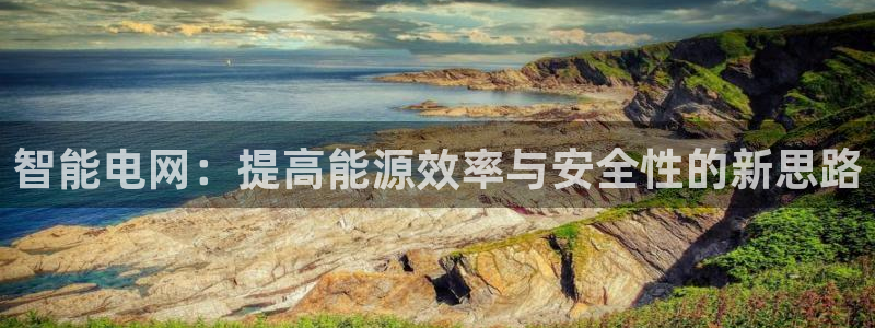 智能电网：提高能源效率与安全性的新思路