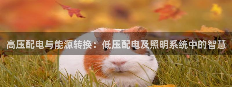 高压配电与能源转换：低压配电及照明系统中的智慧