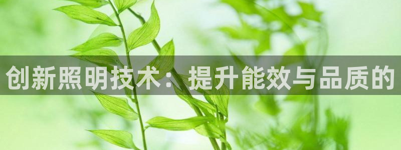 创新照明技术：提升能效与品质的