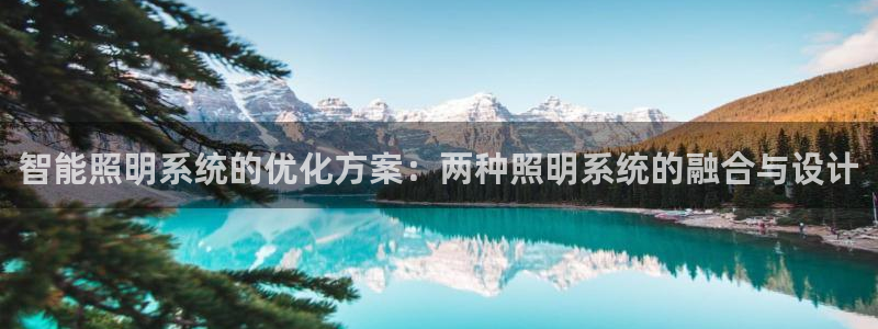 智能照明系统的优化方案：两种照明系统的融合与设计