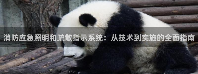 消防应急照明和疏散指示系统：从技术到实施的全面指南