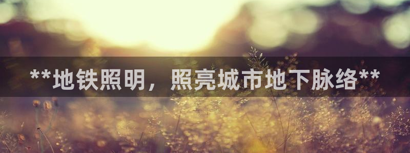 **地铁照明，照亮城市地下脉络**