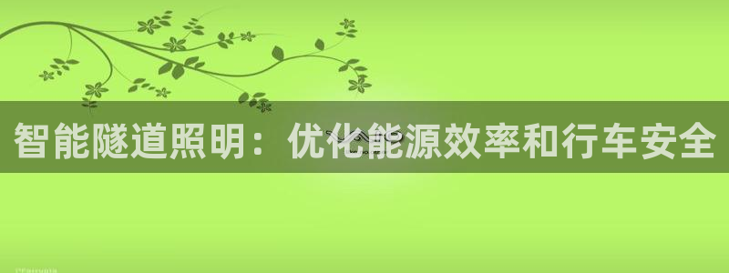 智能隧道照明：优化能源效率和行车安全