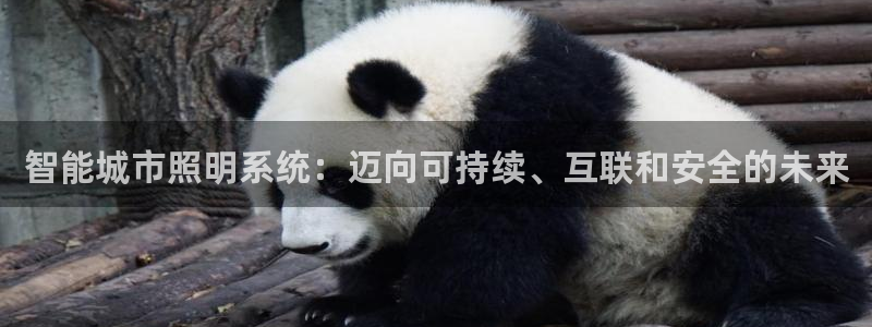 智能城市照明系统：迈向可持续、互联和安全的未来