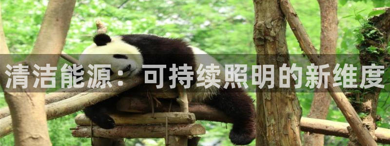 清洁能源：可持续照明的新维度