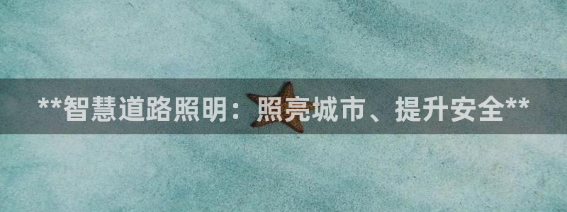 **智慧道路照明：照亮城市、提升安全**