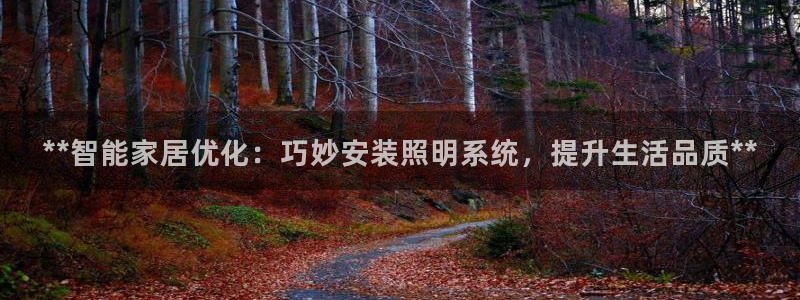 **智能家居优化：巧妙安装照明系统，提升生活品质**