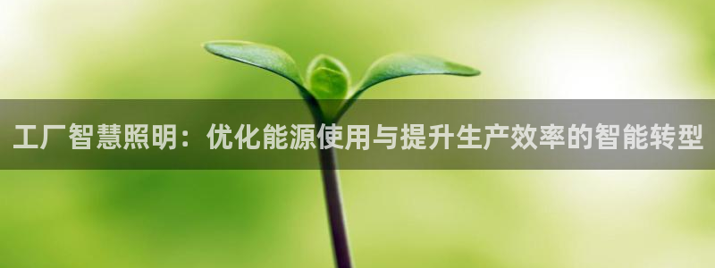 工厂智慧照明：优化能源使用与提升生产效率的智能转型