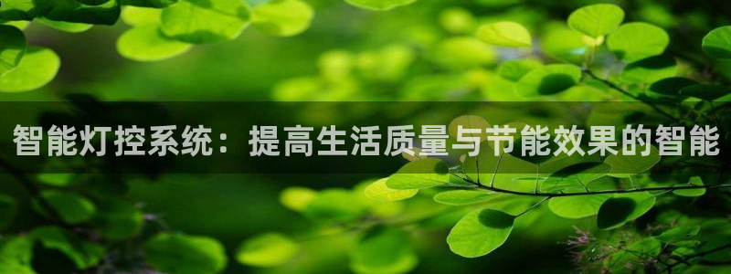 智能灯控系统：提高生活质量与节能效果的智能