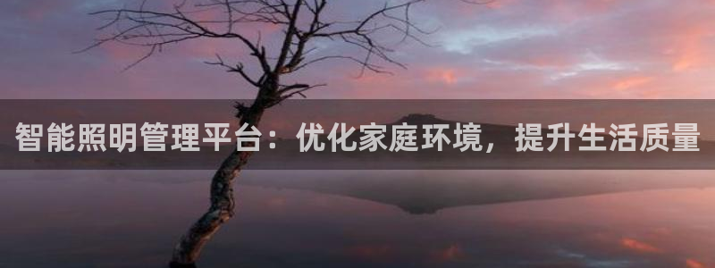 智能照明管理平台：优化家庭环境，提升生活质量