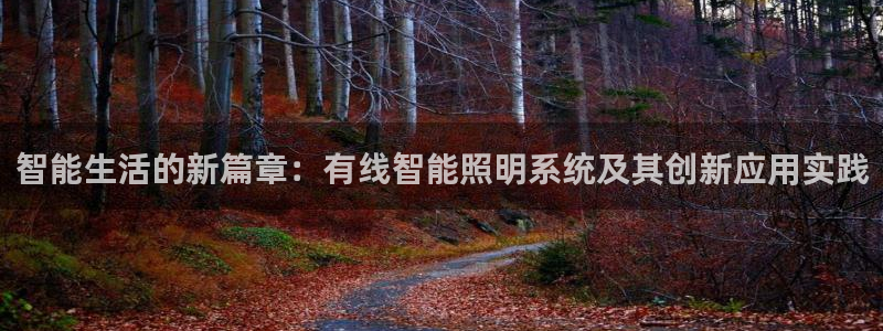 智能生活的新篇章：有线智能照明系统及其创新应用实践